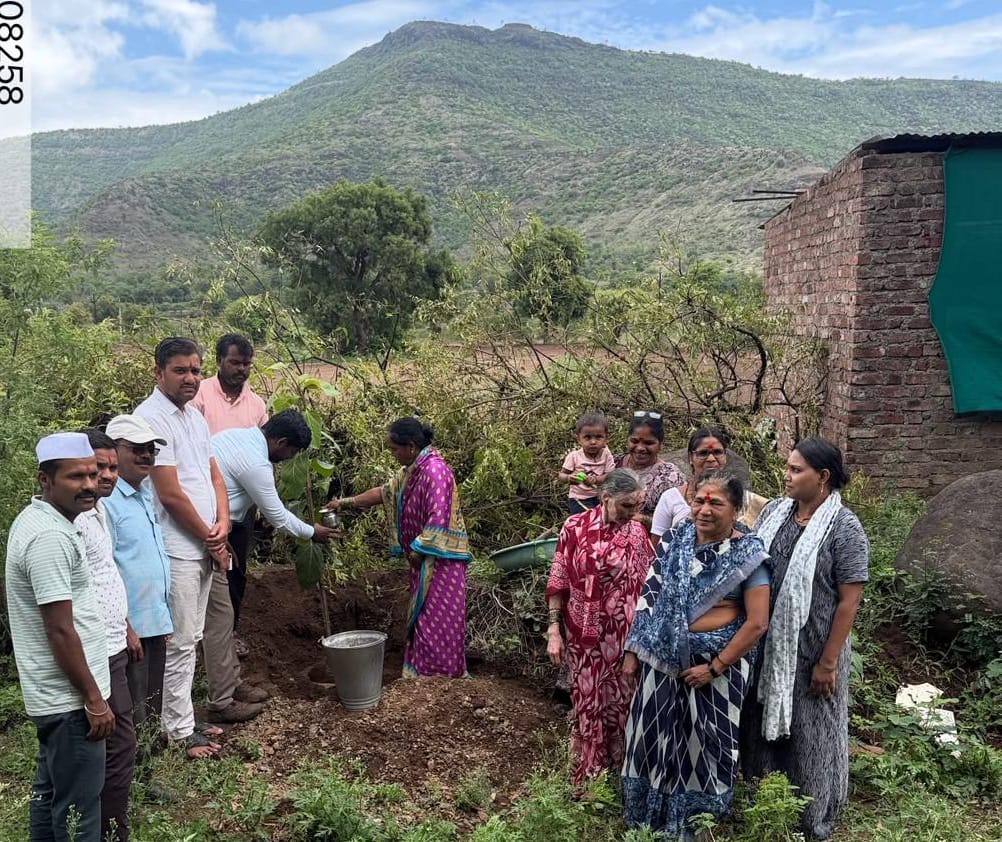 वाई तालुक्यात पर्यावरण संवर्धनाचा 'ग्रीन पॅटर्न'; सार्वजनिक बांधकाम विभागातर्फे ३५०० वृक्ष लागवडीचा शानदार शुभारंभ!