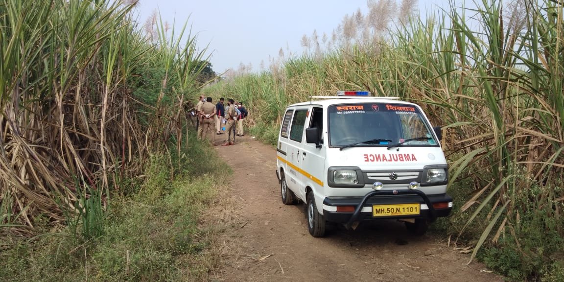 डोक्यात दगड घालून युवतीचा निर्घुण खून 