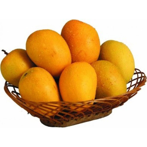 गोष्ट रसाळ, मधाळ हापूस अंब्याची